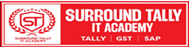 Surround Tally IT Academy